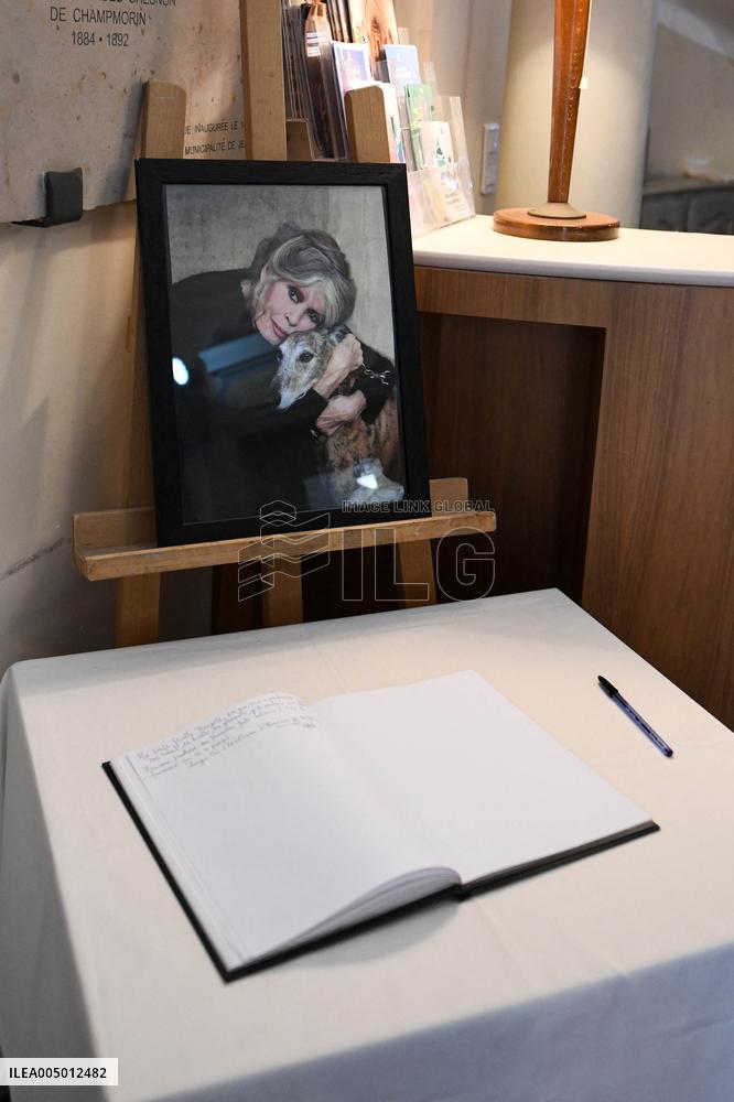 Brigitte Bardot Tribute At Town Hall - Saint Tropez