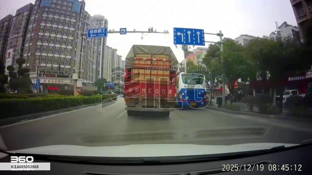China: Hen Perches on Car Hood in Bizarre Roadside Moment