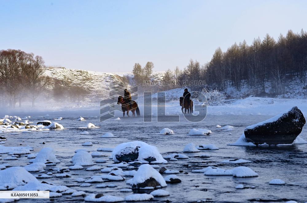 Alshan National Forest Park