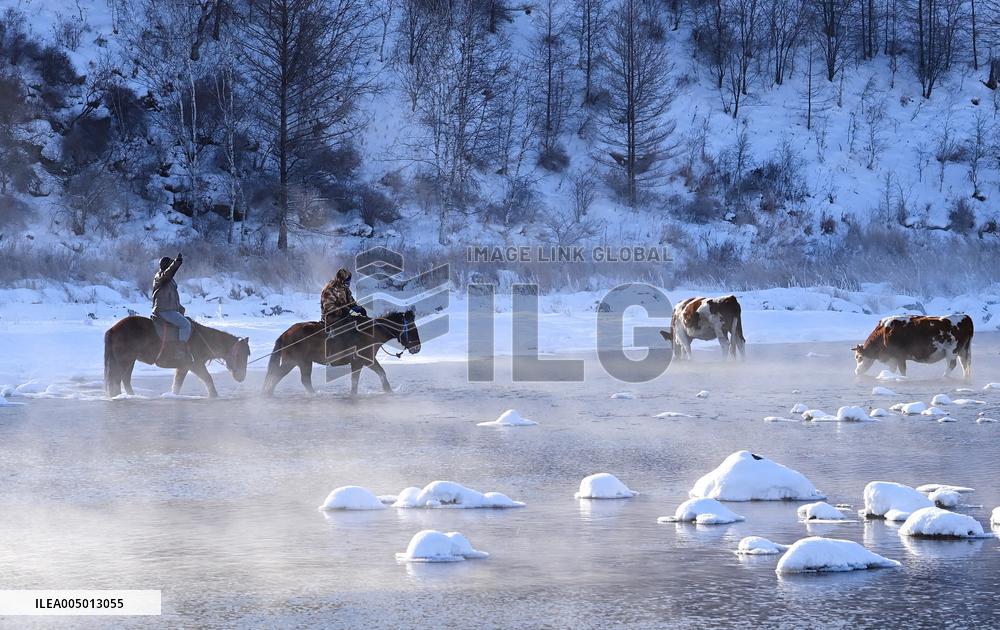 Alshan National Forest Park