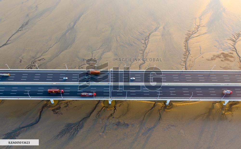 Tidal Tree Landscape