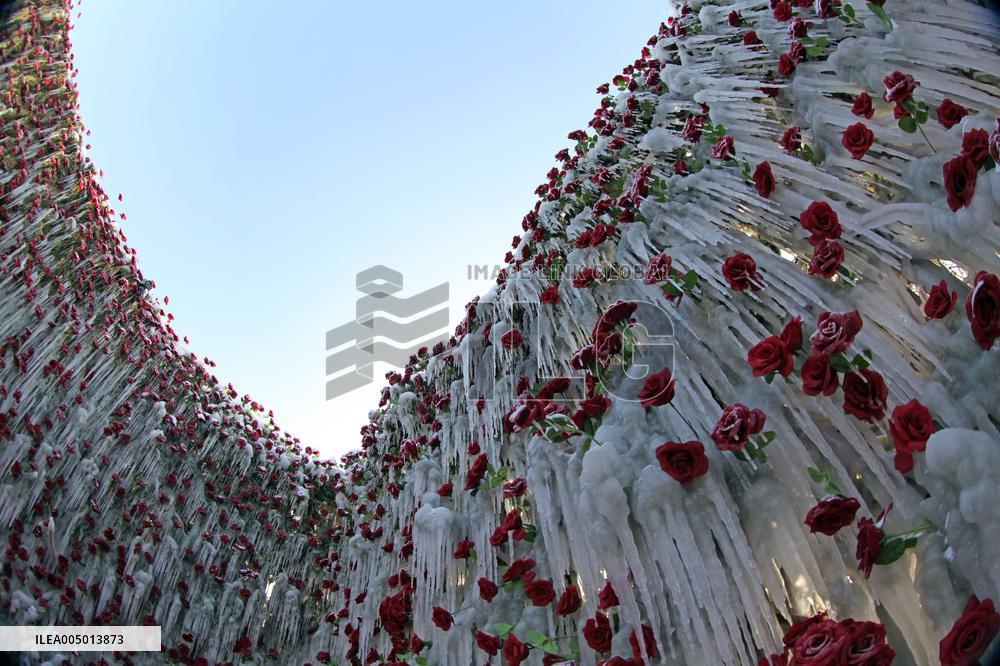 Heart-shaped  Ice Sculpture Enclosed Red Roses Inside