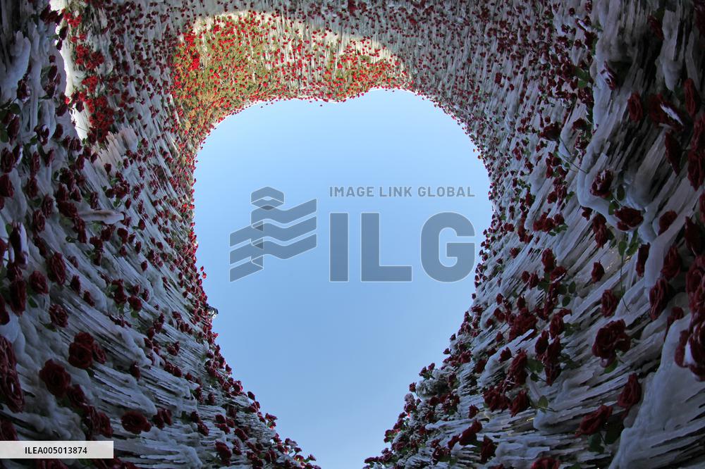 Heart-shaped  Ice Sculpture Enclosed Red Roses Inside