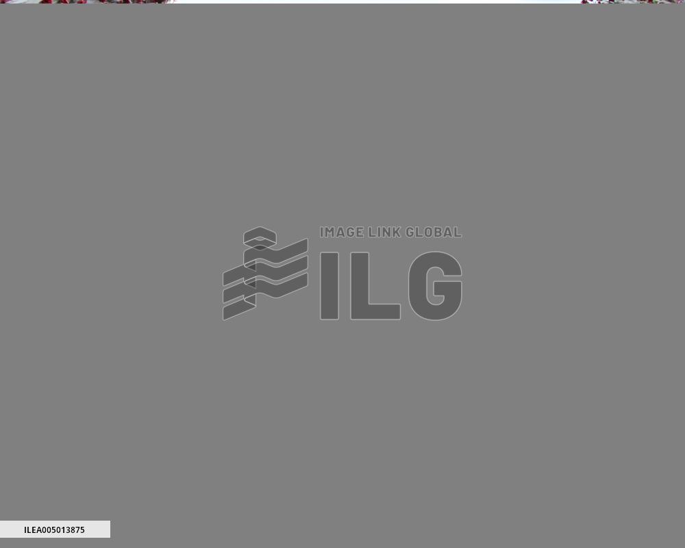 Heart-shaped  Ice Sculpture Enclosed Red Roses Inside