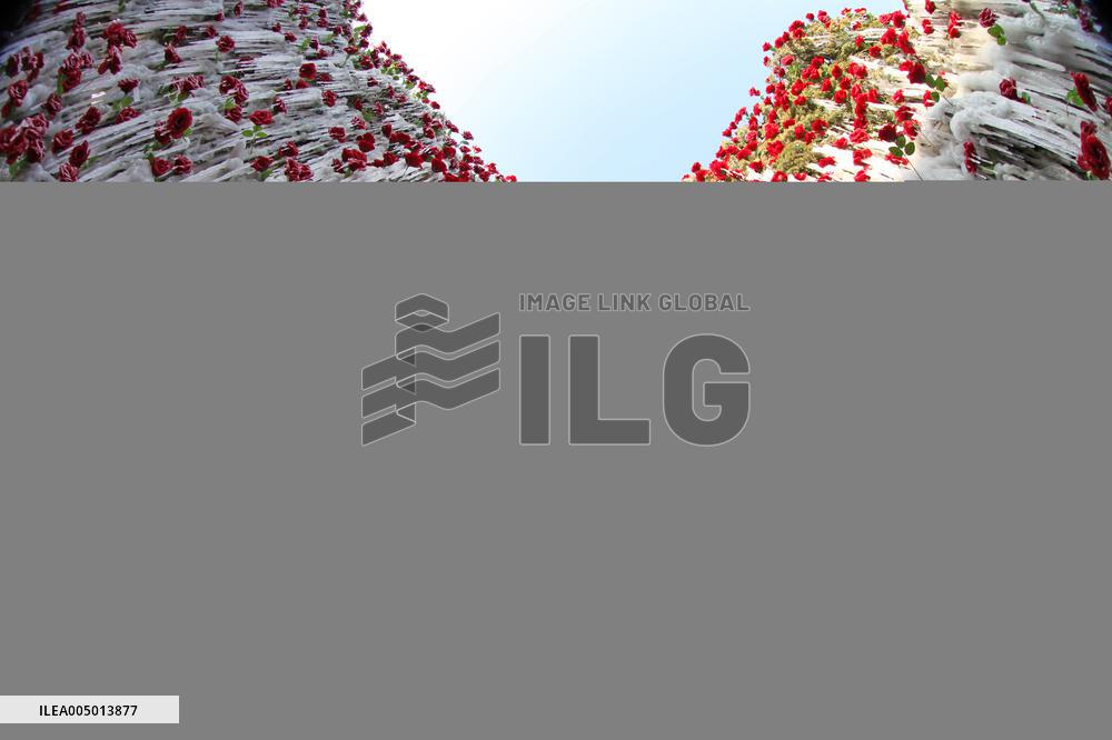 Heart-shaped  Ice Sculpture Enclosed Red Roses Inside