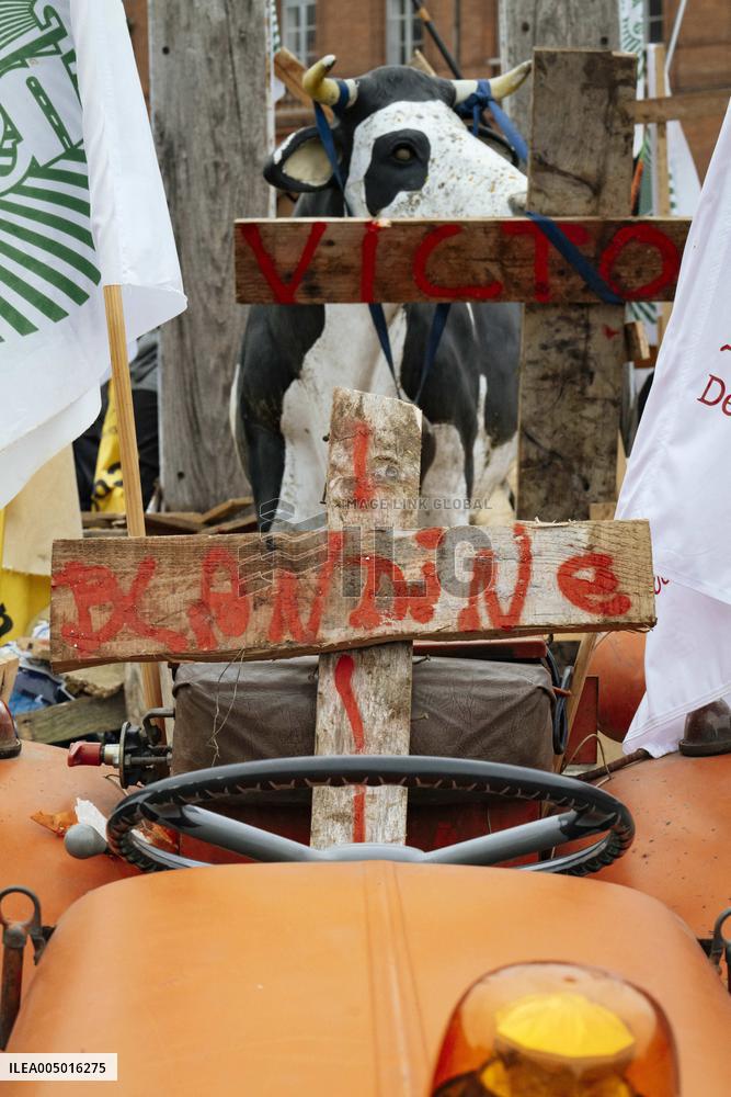 Action By The Inter-Union Group Of Farmers In Toulouse