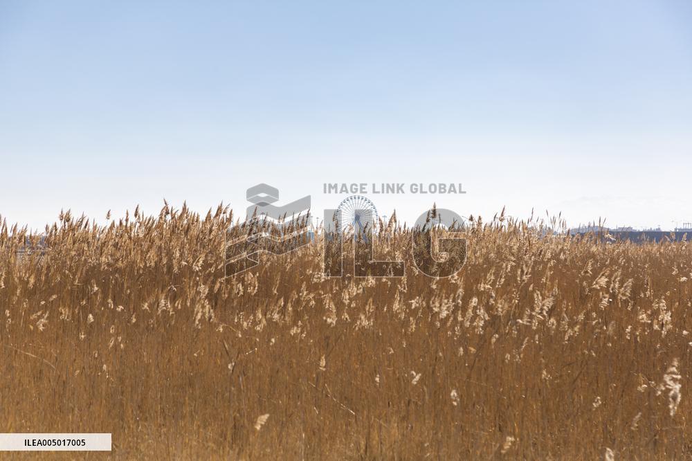 Lake Urmia Environmental Disaster - Iran