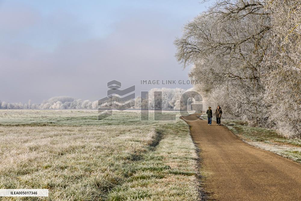 Frost Scenery in Civray-de-Touraine - France