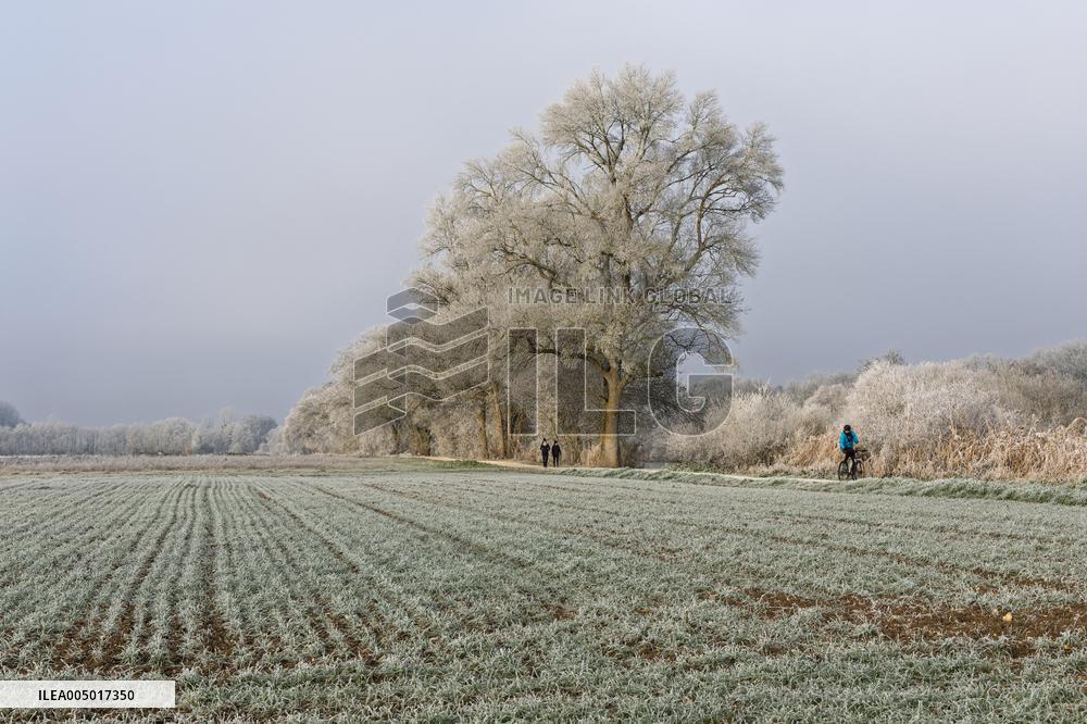 Frost Scenery in Civray-de-Touraine - France