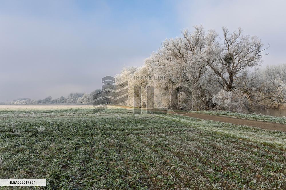 Frost Scenery in Civray-de-Touraine - France