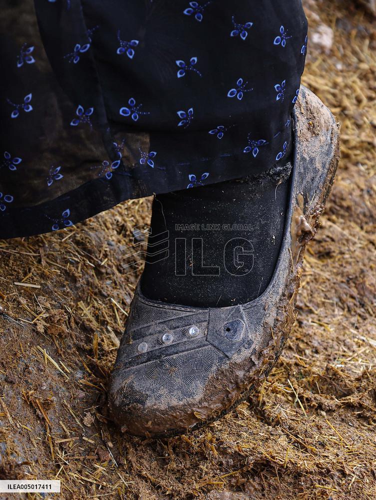 The Ancient Guardians of Bakhazner - Iraq