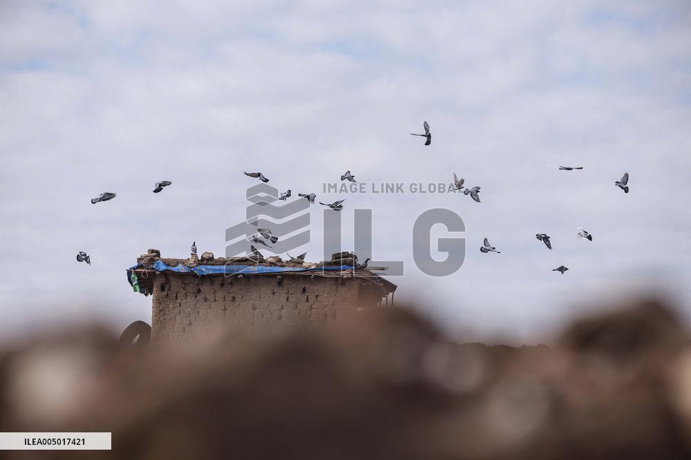 The Ancient Guardians of Bakhazner - Iraq