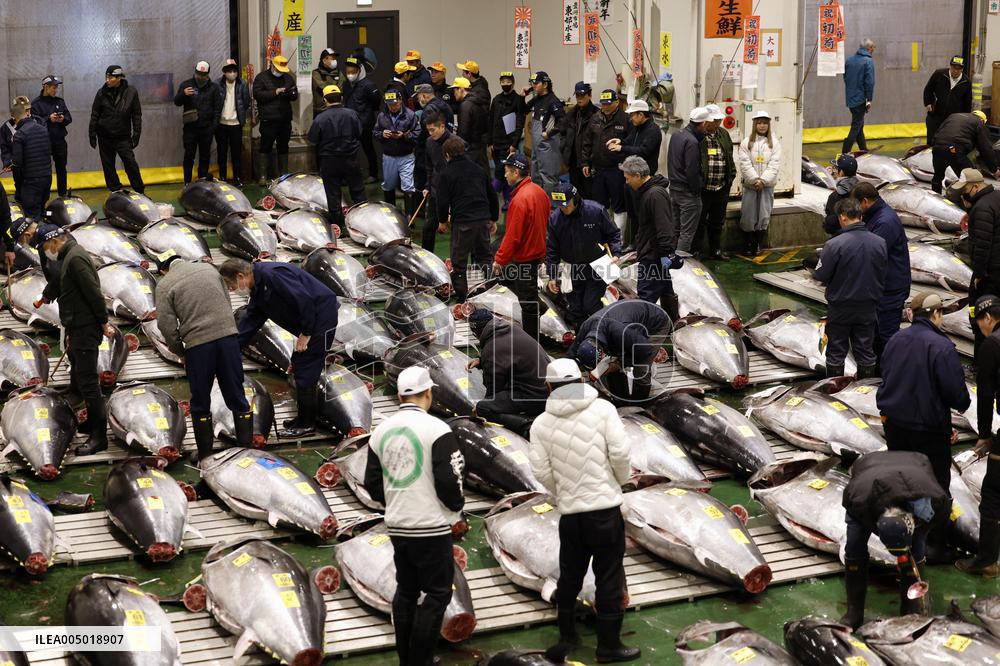 New Year tuna auction in Tokyo