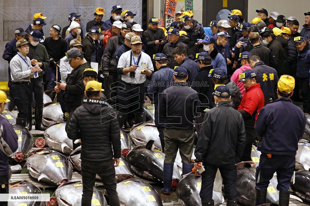 New Year tuna auction in Tokyo