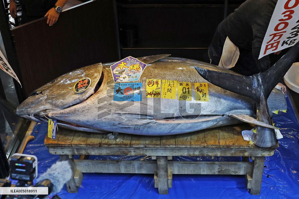 New Year tuna auction in Tokyo