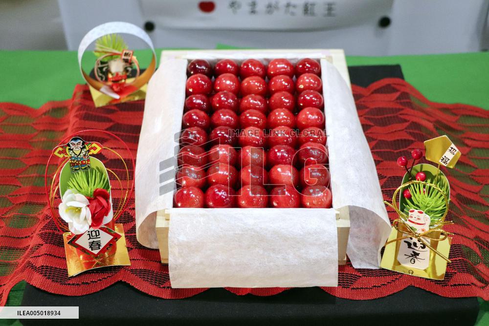 Year's first cherry auction in Yamagata Pref.