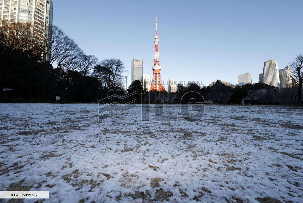 Snow in Tokyo