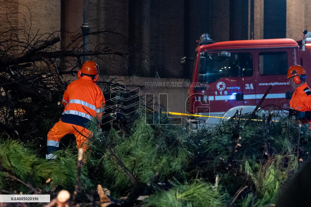 Tree Collapses Near Colosseum Due to Bad Weather - Rome