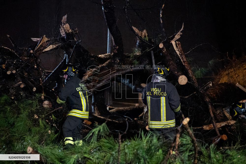 Tree Collapses Near Colosseum Due to Bad Weather - Rome