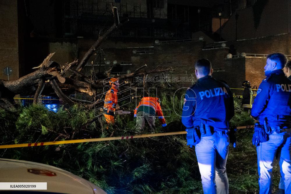 Tree Collapses Near Colosseum Due to Bad Weather - Rome
