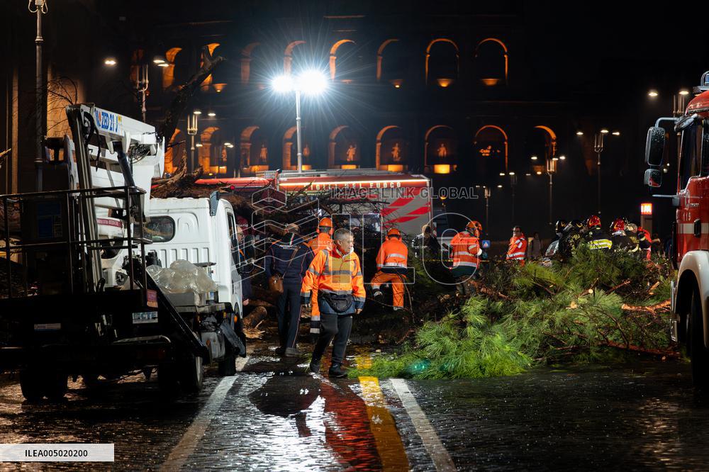 Tree Collapses Near Colosseum Due to Bad Weather - Rome