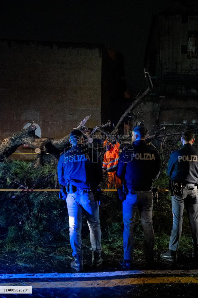 Tree Collapses Near Colosseum Due to Bad Weather - Rome