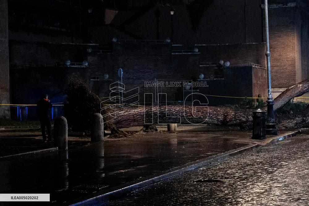 Tree Collapses Near Colosseum Due to Bad Weather - Rome