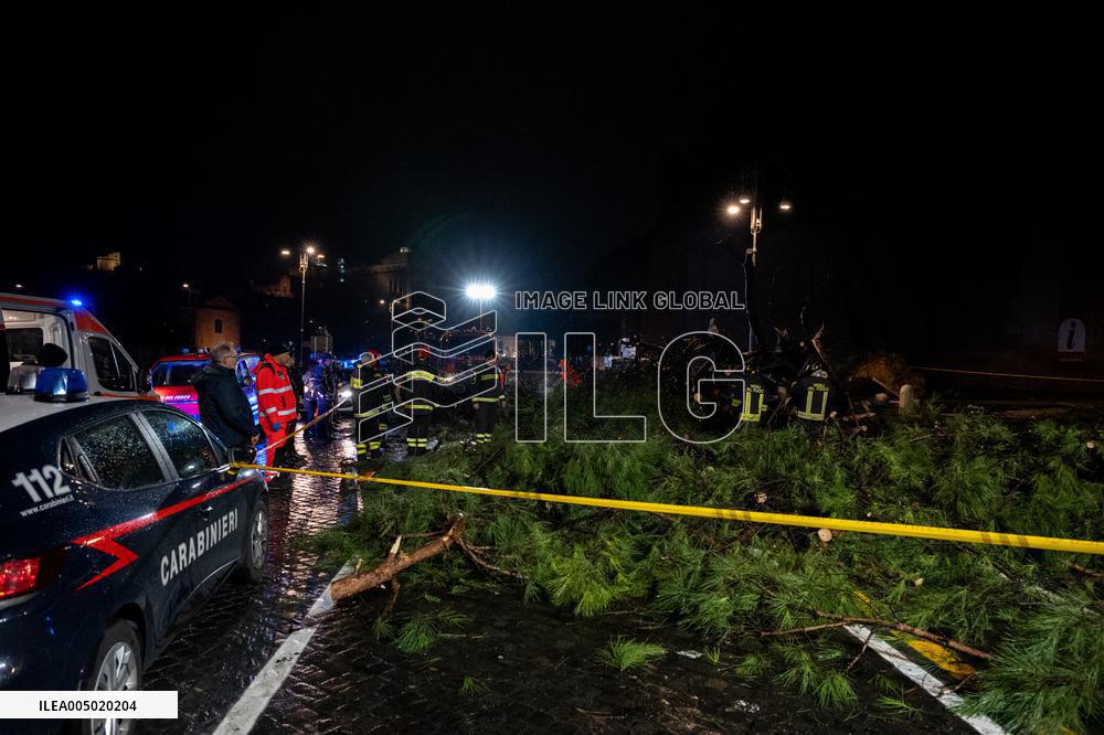 Tree Collapses Near Colosseum Due to Bad Weather - Rome