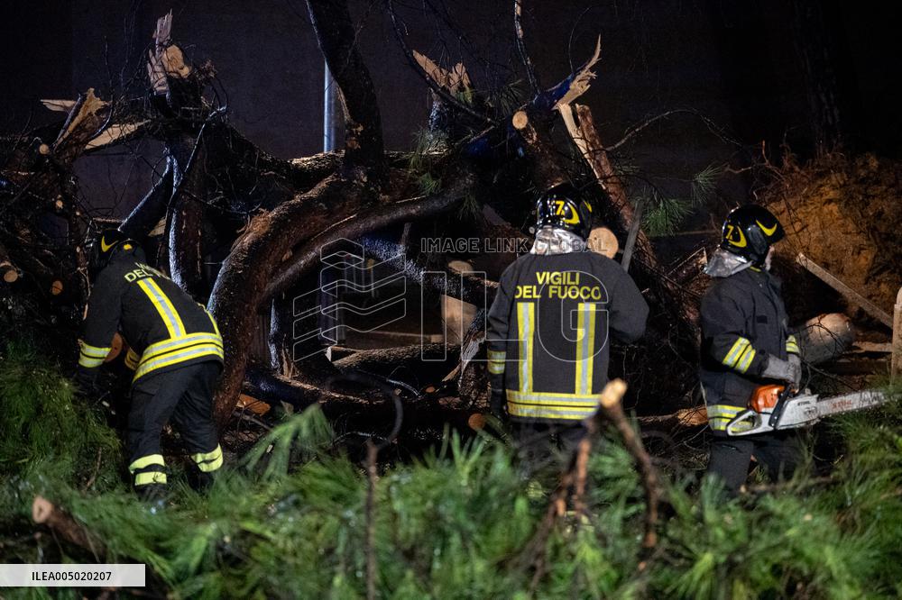 Tree Collapses Near Colosseum Due to Bad Weather - Rome