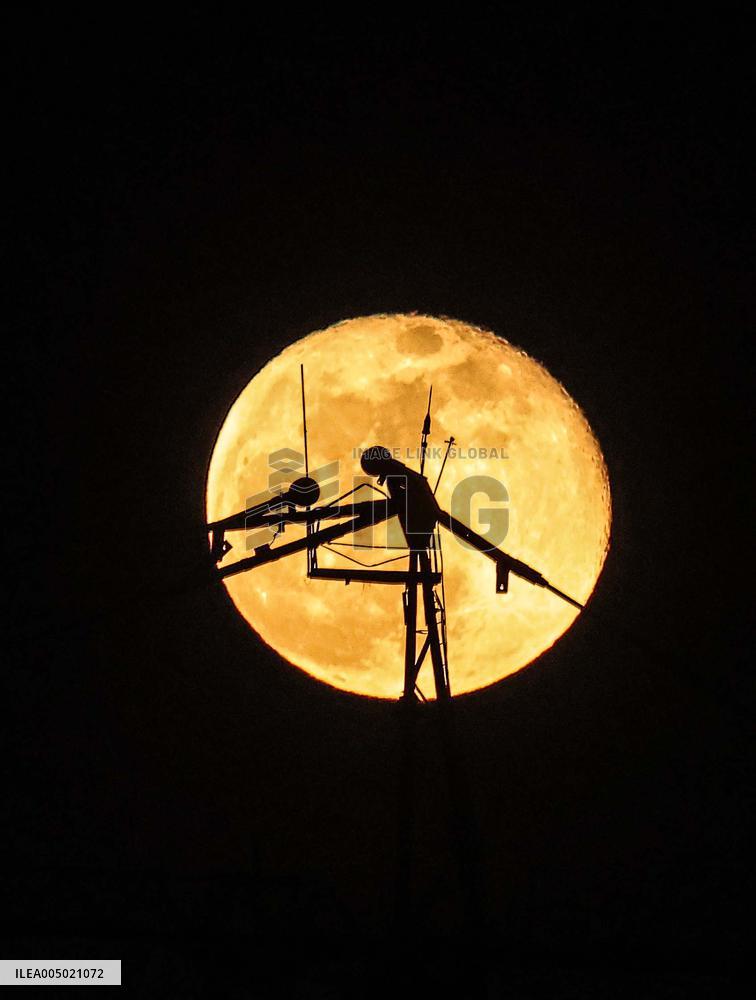 Wolf Moon Rises Over Erbil Skyline - Iraq