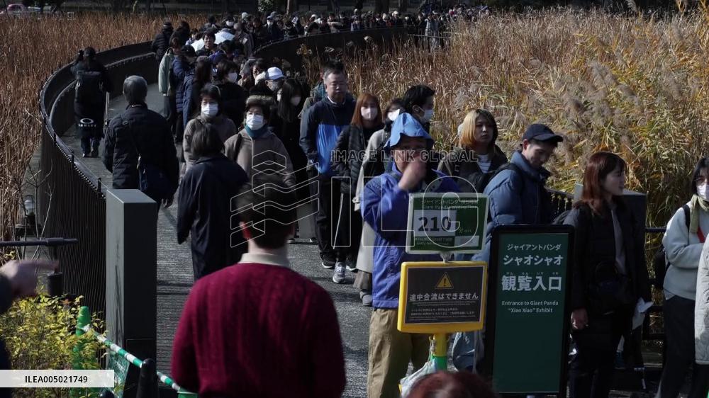 Pandas at Tokyo's Ueno zoo set to return to China