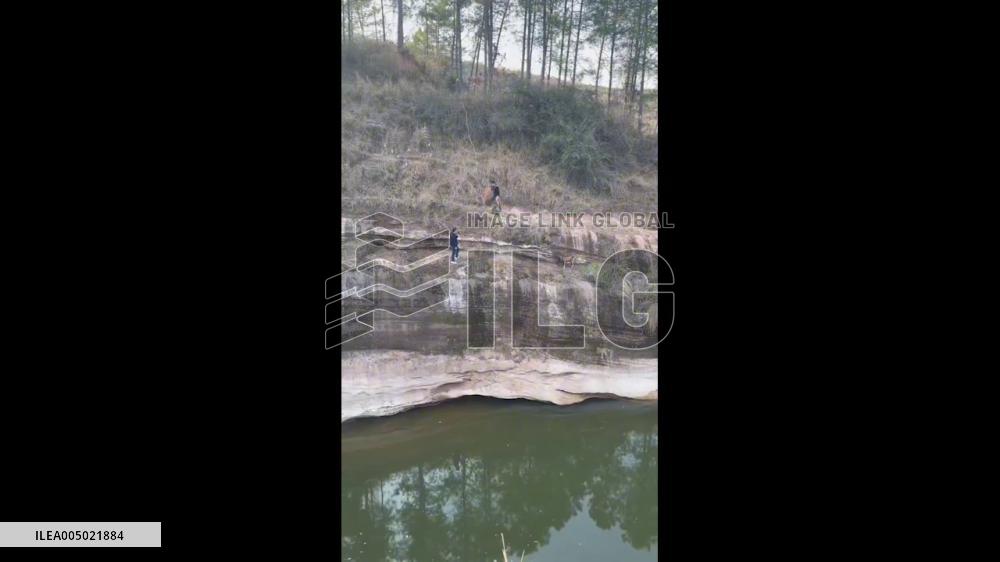China: Man Rescues Young Goat Stranded on Steep Cliff in Hunan Province