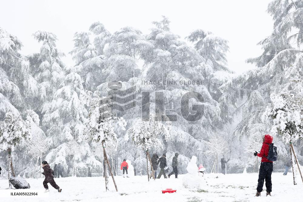 Snowy Landscape - Bologna