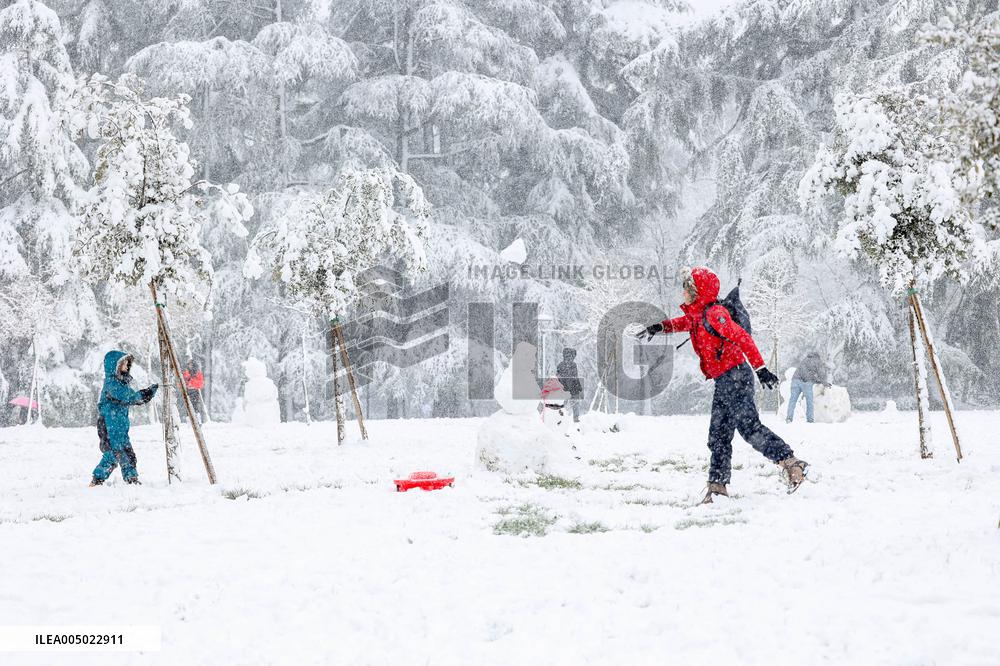 Snowy Landscape - Bologna
