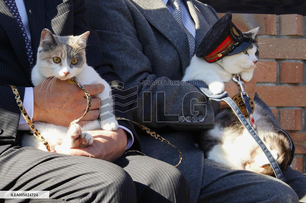 New cat stationmaster