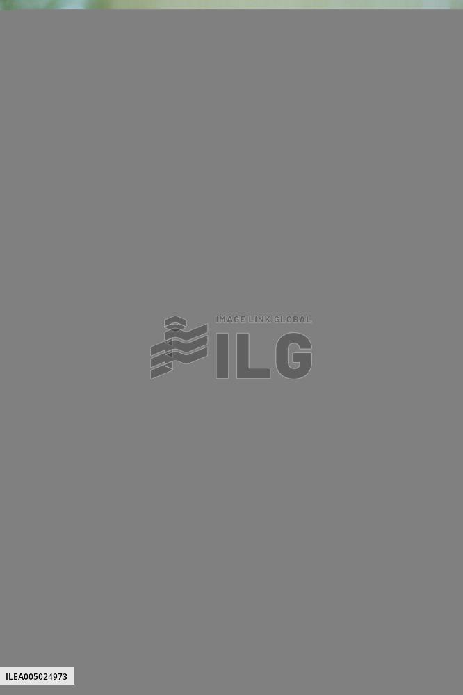 Start of The Winter Sales