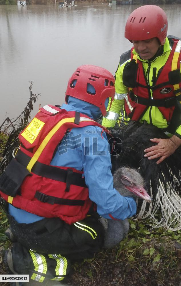 Heavy Rain Causes Red Alert For Aniene River - Rome