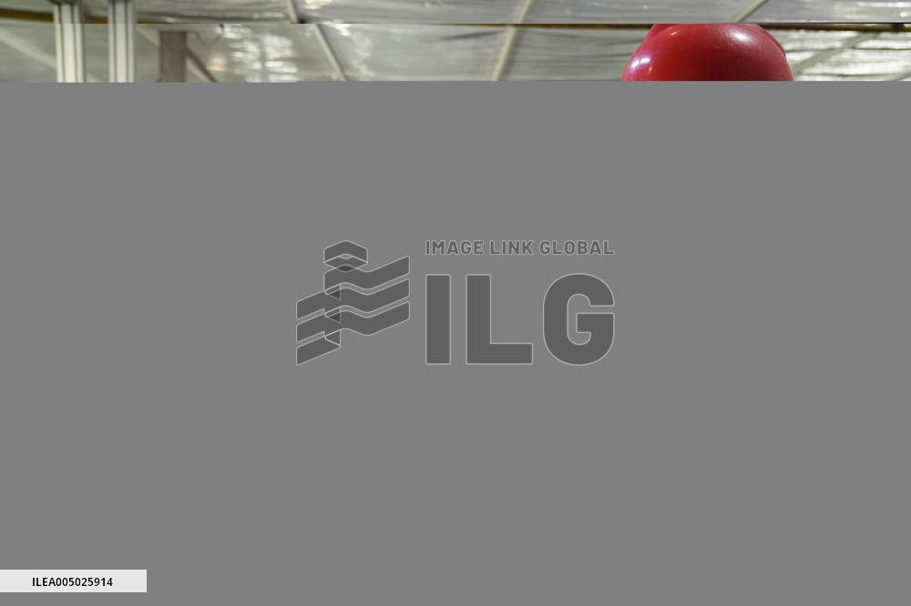 China Manufacturing Industry