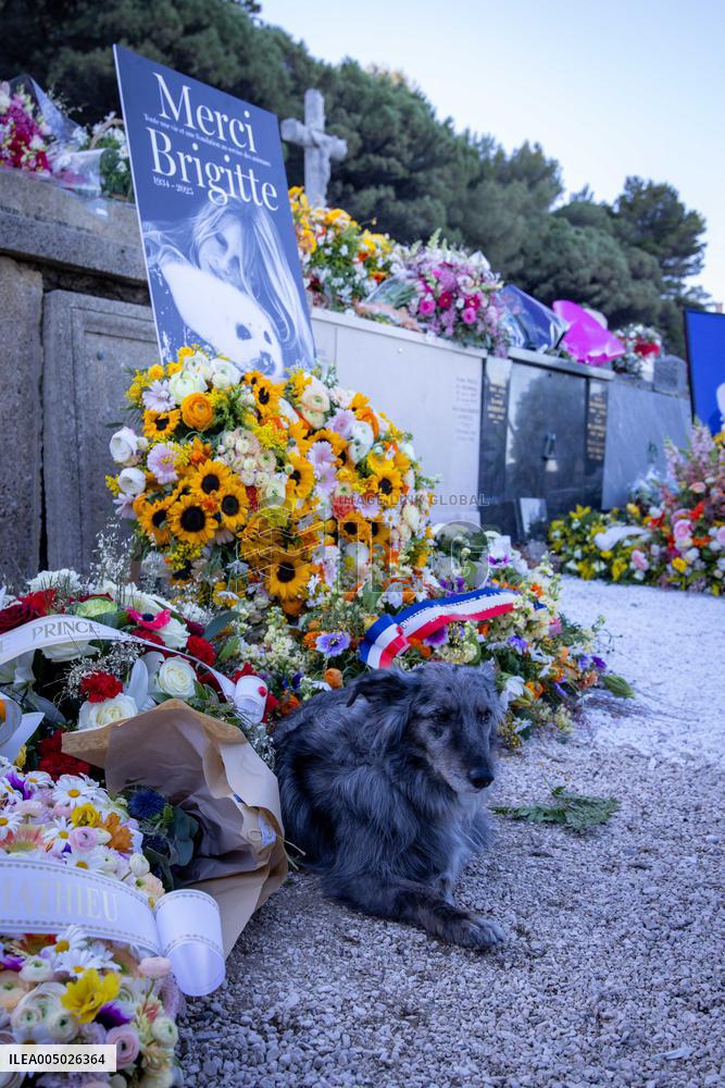 Brigitte Bardot's Grave at The Marine Cemetery - Saint-Tropez