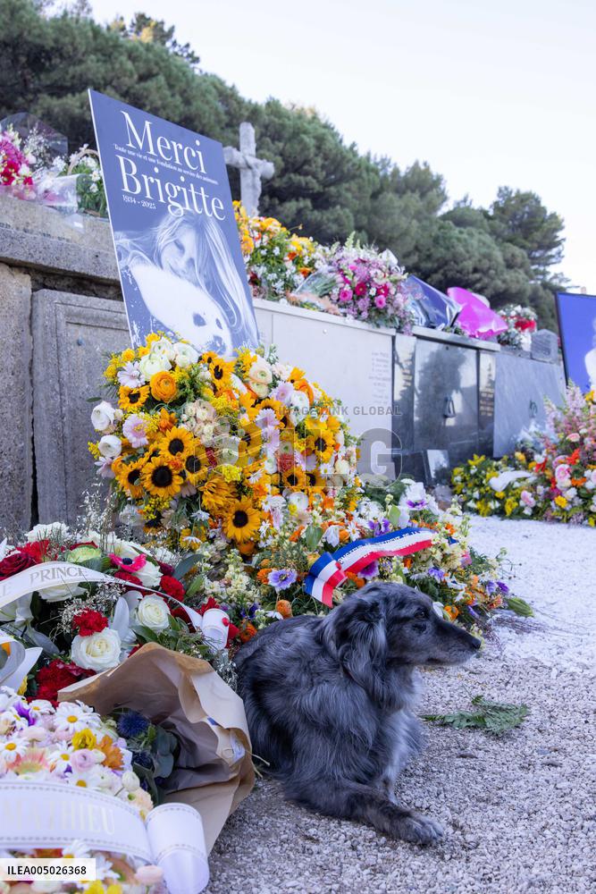 Brigitte Bardot's Grave at The Marine Cemetery - Saint-Tropez