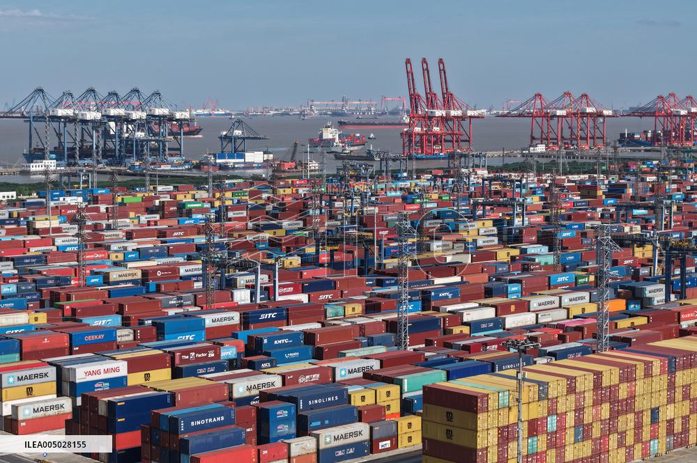 Shanghai Port Container Throughput