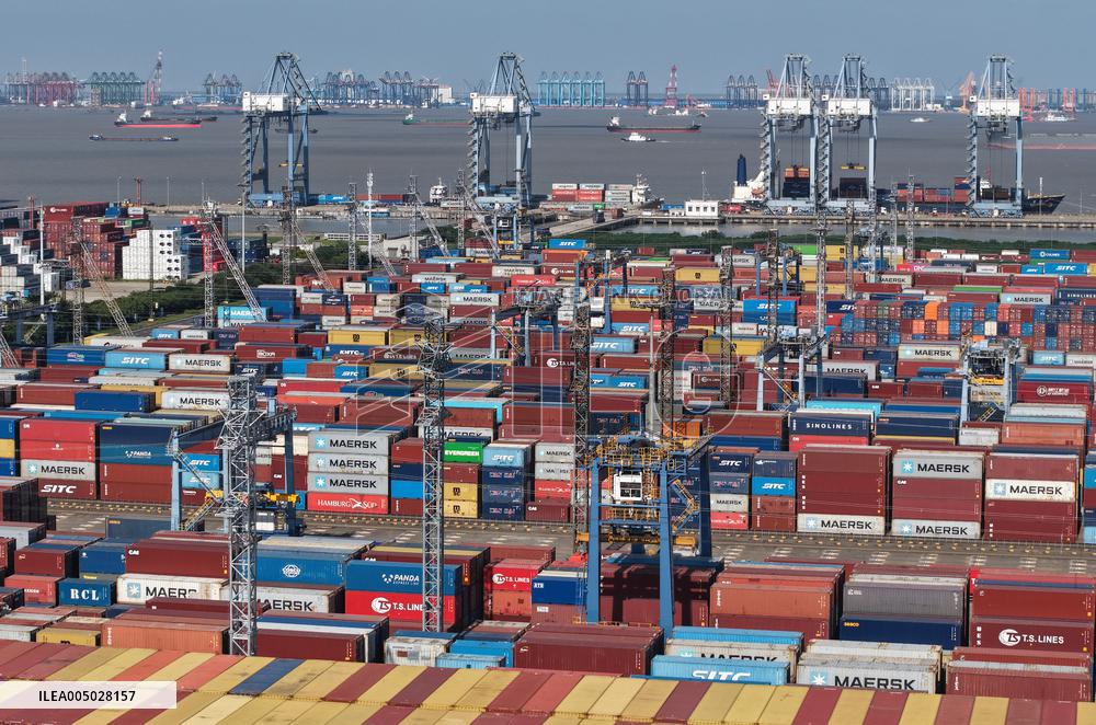 Shanghai Port Container Throughput