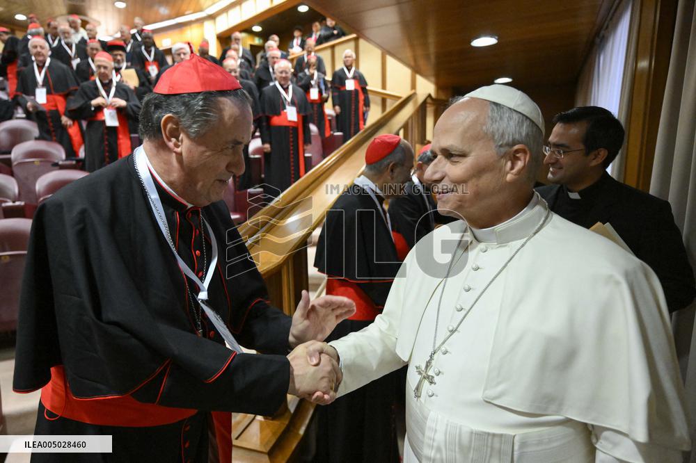 Pope Leo XIV Opens Extraordinary Consistory - Vatican
