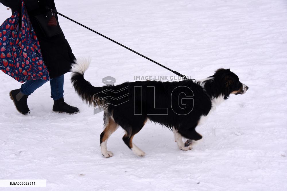 Paris Under The Snow - Eiffel Tower