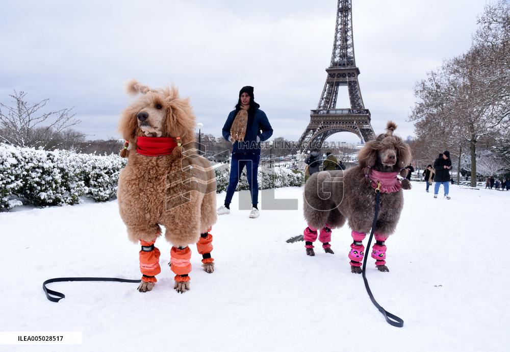 Paris Under The Snow - Eiffel Tower