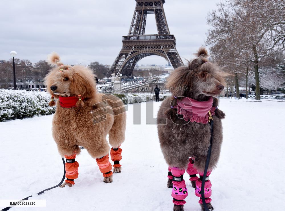 Paris Under The Snow - Eiffel Tower