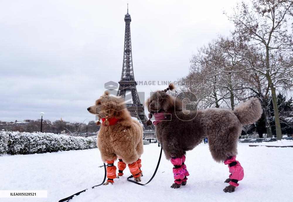 Paris Under The Snow - Eiffel Tower