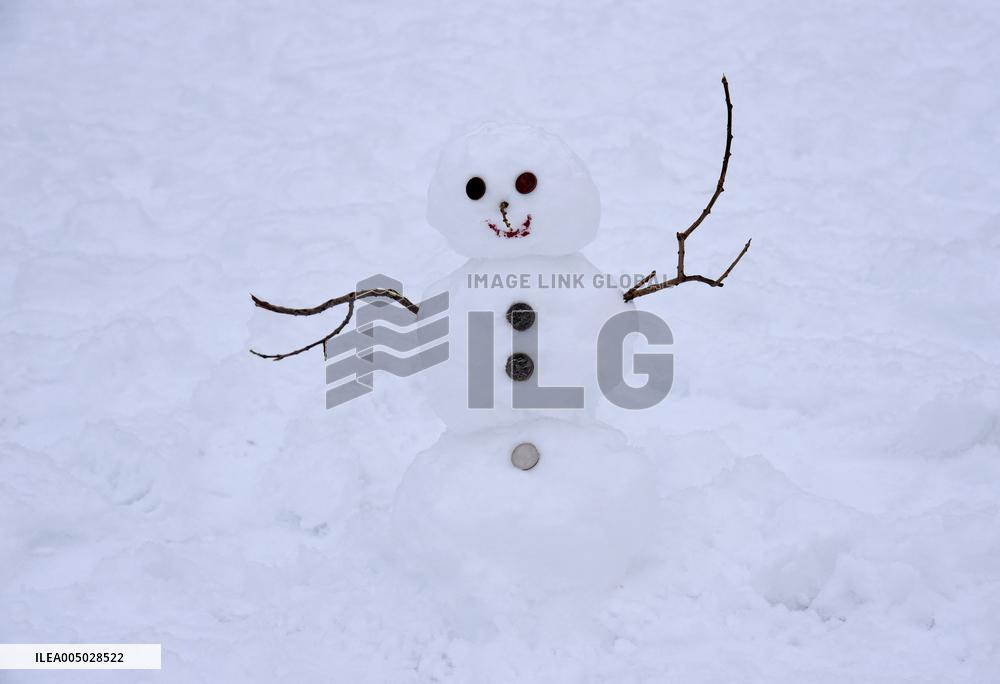 Paris Under The Snow - Eiffel Tower