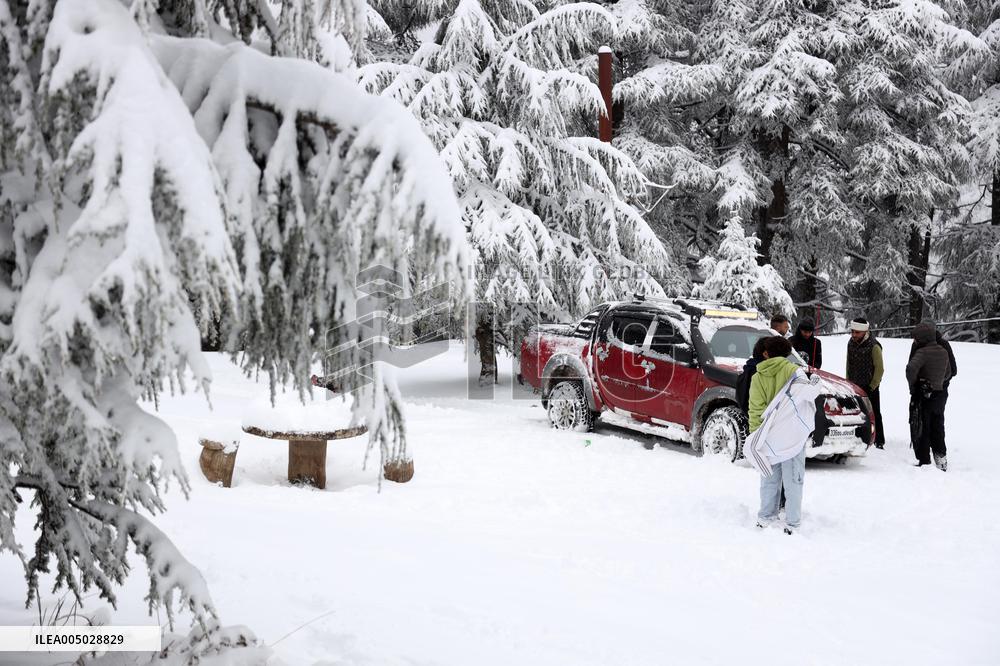 Snowfall in Chrea Mountains - Algeria