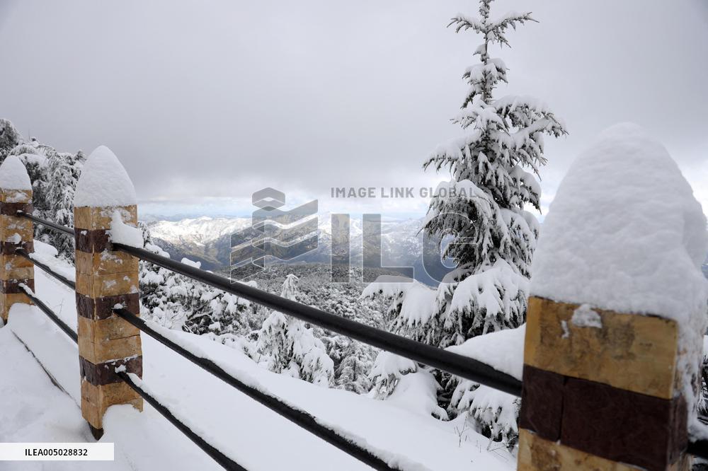 Snowfall in Chrea Mountains - Algeria